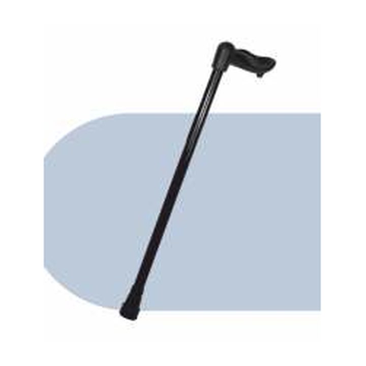 Walking stick